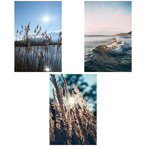 SWECOMZE Moderne Poster Set - 3er Bilder Wohnzimmer Deko Schlafzimmer -Nature Pampas Gras blau Meer Wandbilder, ohne Rahmen von SWECOMZE