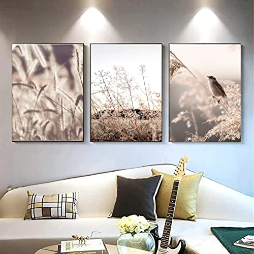 SWECOMZE Premium Poster 3er Set Bilder, Pampas Pflanze Bilder Set,ohne Bilderrahmen,Wohnzimmer Modern Schlafzimmer Leinwandmalerei (B,50x70cm) von SWECOMZE