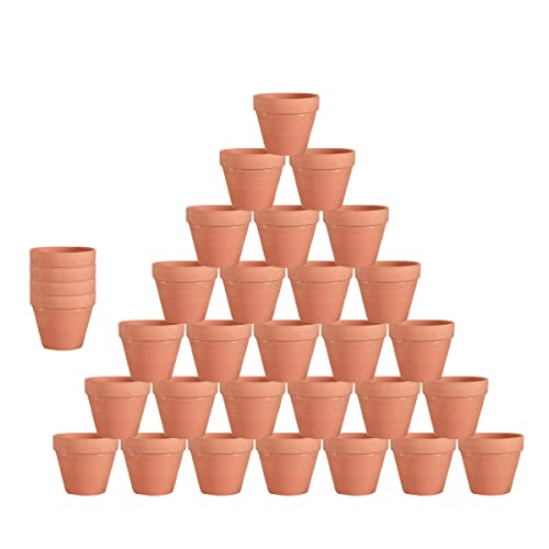 SWEEMI 32 Stück 5,3 cm Terrakotta-Topf Ton Keramik Pflanzgefäß Kaktus Blume Terra Cotta Töpfe Sukkulenten Kinderzimmer Töpfe mit Drainageloch für Indoor/Outdoor Pflanzen Handwerk von SWEEMI