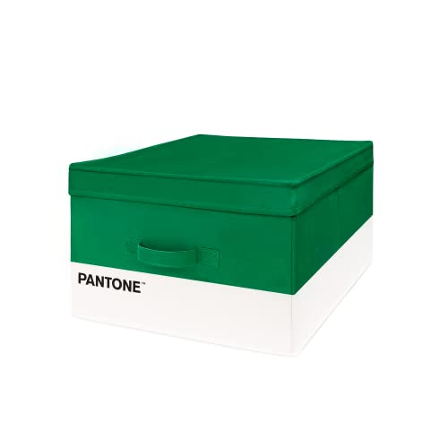 Pantone™ – Kleiderschrank-Organizer mit Tasche für Duftspender, zusammenklappbar, mit dicker und harter Struktur, 40 x 50 x 25 cm, Grün von SWEET HOME