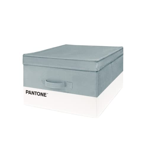 SWEET HOME Pantone™ - Platzsparender Schrank, Aufbewahrungsbox und Kleiderständer + Tasche für Lufterfrischer, faltbar, aus Karton, Aufbewahrungsbox für Kinder und Kleidung, 40 x 50 x 25 cm, Grau von SWEET HOME