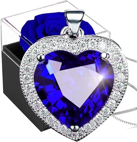 SWEETIME Ewige Rose,Blaue Infinity Rosen Box,Konservierte Blumen Geschenkbox Für Muttertag Valentinstag Weihnachten Ehefrau Frauen Großmutter Geburtstag Geschenk SWEETIME Ewige Rose,Blaue Infinity Rosen Box,Konservierte Blumen Geschenkbox Für Muttertag Valentinstag Weihnachten Ehefrau Frauen Großmutter Geburtstag Geschenk von SWEETIME