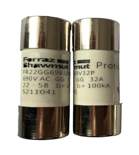 SWEWDSQG 1 stücke Sicherungen FR22GG69V20P P222975 FR22GG69V25P M201307 FR22GG69V32P S211041 FR22GG69V40P R212075 FR22GG69V50P M213612(FR22GG69V50P) von SWEWDSQG