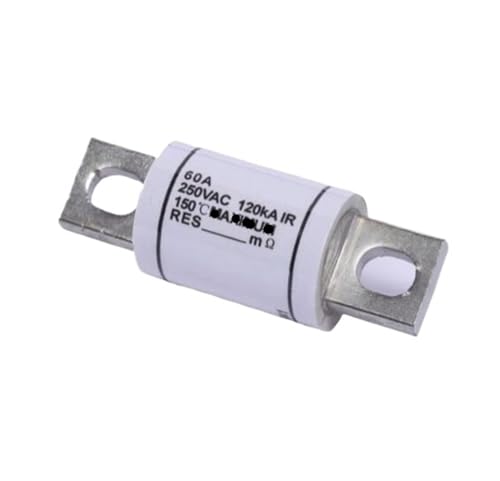 SWEWDSQG FWX-125A FWX-150A FWX-175A FWX-200A FWX-250A FWX-300A FWX-400A FWX-350A 250-V-Sicherung(FWX-200A) von SWEWDSQG