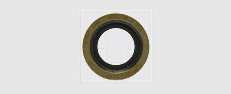SWG Dichtring Ford 16x24x1,5 2 Stück SWG Dichtring Ford 16x24x1,5 2 Stück von SWG Gaisbach