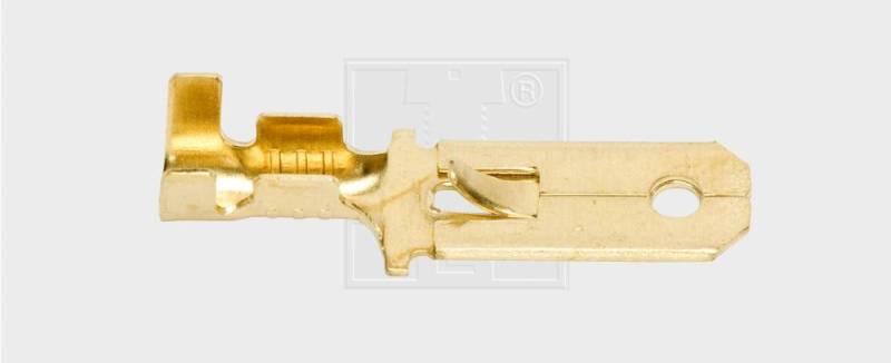 SWG Flachsteckzunge unisoliert 1,5-2,5 mm² 6,3x0,8 SWG Flachsteckzunge unisoliert 1,5-2,5 mm² 6,3x0,8 von SWG Gaisbach