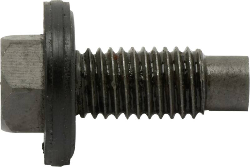 SWG Ölablassschraube M12x1,75x28,5 mit Dichtring SWG Ölablassschraube M12x1,75x28,5 mit Dichtring von SWG Gaisbach