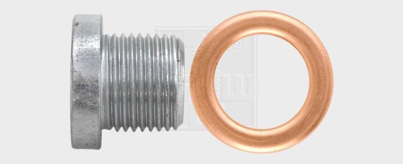 SWG Ölablassschraube Renault M18 18x1,5 mit Dichtring SWG Ölablassschraube Renault M18 18x1,5 mit Dichtring von SWG Gaisbach