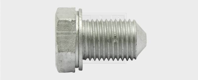 SWG Ölablassschraube VW Porsche Seat 14x1,5 ähnlich 908 132 01 SWG Ölablassschraube VW Porsche Seat 14x1,5 ähnlich 908 132 01 von SWG Gaisbach