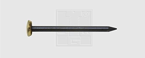 SWG Bildernägel mit Messingkopf 2 X 30 15 Stück - 9776223080 SWG Bildernägel mit Messingkopf 2 X 30 15 Stück - 9776223080 von SWG - Schrauben