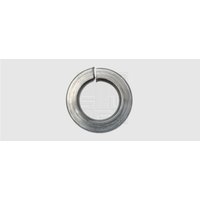 Federring Innen-Durchmesser: 10.2 mm M10 din 127 Edelstahl A2 50 St. - SWG Federring Innen-Durchmesser: 10.2 mm M10 din 127 Edelstahl A2 50 St. - SWG von SWG