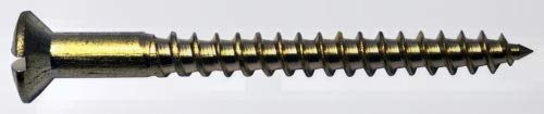 Holzschraube Linsenkopf Messing Blank DIN 95 3 X 30 50-Stück von Pvmn