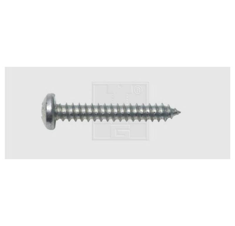 SWG Blechschraube Blechschrauben 3.5 X 19 Stahl verzinkt 115351925 SWG Blechschraube Blechschrauben 3.5 X 19 Stahl verzinkt 115351925 von SWG