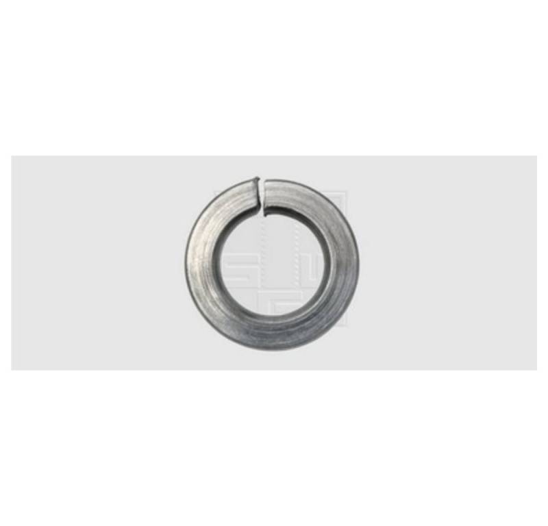 SWG Federring Federringe M6 6.1/11.8 mm Edelstahl A2 447667 SWG Federring Federringe M6 6.1/11.8 mm Edelstahl A2 447667 von SWG