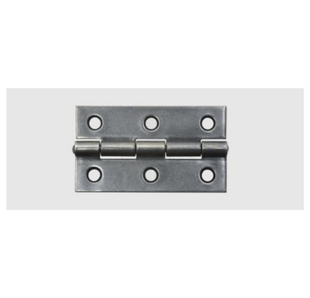 SWG Montagezubehör SWG Schmale Scharniere A2 40 X 26 Edelstahl A2 40 mm 1 St. SWG Montagezubehör SWG Schmale Scharniere A2 40 X 26 Edelstahl A2 40 mm 1 St. von SWG