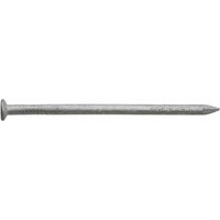 Spitze Flachkopf verzinkt 2.5 x 60 mm Packung 1 kg Spitze Flachkopf verzinkt 2.5 x 60 mm Packung 1 kg von SWG