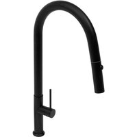 Swiss Aqua Technologies - Einhebelmischer mit ausziehbarer Brause und Schwenkarm, 2 Düsen, Mattschwarz (SATBSD288C) von SWISS AQUA TECHNOLOGIES