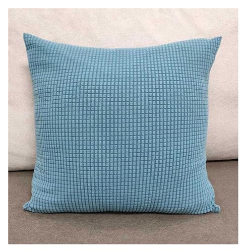 Kissenhülle 40x70,2er Set Kissenbezug 50x70,40x60 Samt Kissenbezüge Kopfkissenbezug mit Reißverschluss Sofa Pillow Cover Zierkissenbezug Dekokissen Bezug Universal ( Color : Lake blue , Size : 40x40cm von SWJ-swjssb