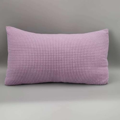 Sofa Kissenbezug 50x70 40x70 2er Set Samt Kissenbezüge 40x60, Zierkissenbezug Dekokissen Sofakissen Mit Reißverschluss 60x80 Kissenhülle Dekorative Zierkissenbezüge Kissen Bezug (Color : Light Purple von SWJ-swjssb