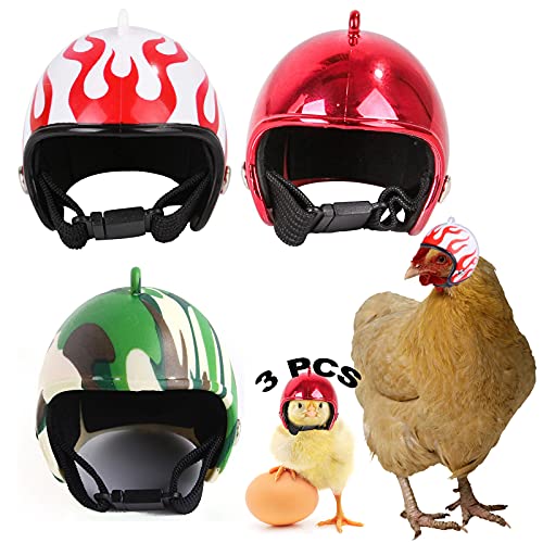 Hühnerhelm Kopfbedeckung 3 Stück Hühnerhelm Kunststoff Huhn Helm Haustier Helm Helm Für Huhn Haustierschutzhelm Entzückender Helm Für Huhn Ente Vogel Und Anderes Geflüge Kopfschutz 3 Farben 4 x 4.5cm von SWRCEYJH