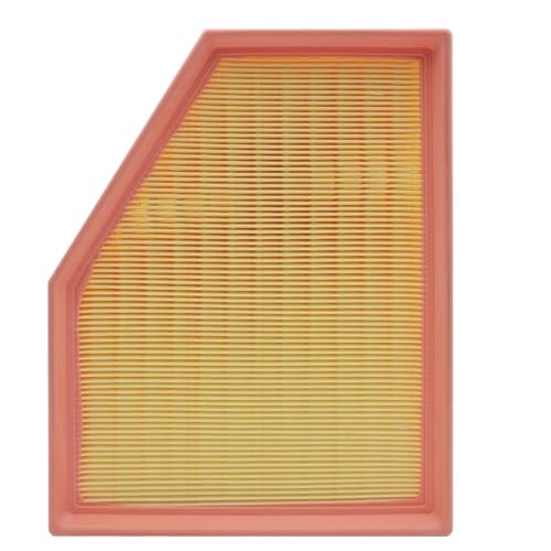 SWVYDC Luftfilter Auto-Luftfilterreiniger-Element 13718577170 Passend für BMW G01 G02 G05 G11 G12 G30 X3 X4 X5 X6 520d 530i 725 730 Autofilter von SWVYDC