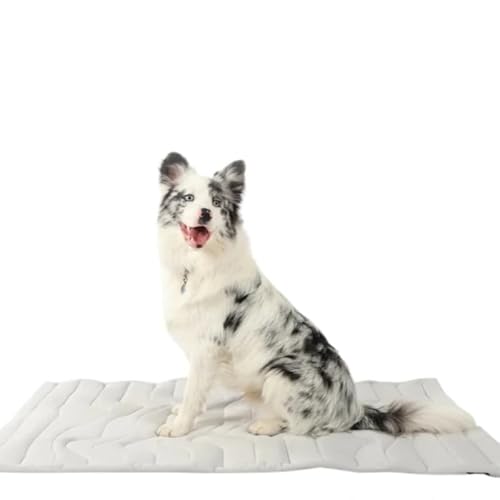 SWZEC Dr.Pfoten Pfotenchill Die Innovative Kühlmatte Für Hunde SWZEC Dr.Pfoten Pfotenchill Die Innovative Kühlmatte Für Hunde von SWZEC