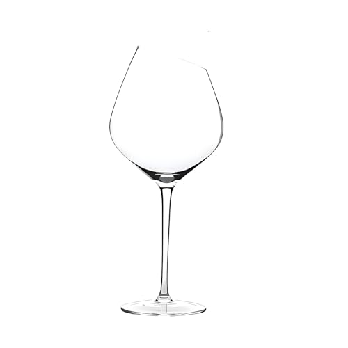SXDHOCDZ 580 ml transparente Champagnerflöten mit geneigtem Rand | Wiederverwendbare Weingläser für Zuhause, Partys, Hochzeiten und Toasts(Clear,A) von SXDHOCDZ