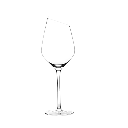SXDHOCDZ 580 ml transparente Champagnerflöten mit geneigtem Rand | Wiederverwendbare Weingläser für Zuhause, Partys, Hochzeiten und Toasts(Clear,B) von SXDHOCDZ