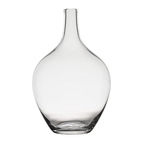 SXLSZ Handmade Glasvasen,Gärballon Glasvase Für Pampasgras,Transparente Ballon Vase Für Moderne Wohnkultur,Bodenvase Indoor Dekoration (Nur Vase),Durchsichtig,groß von SXLSZ