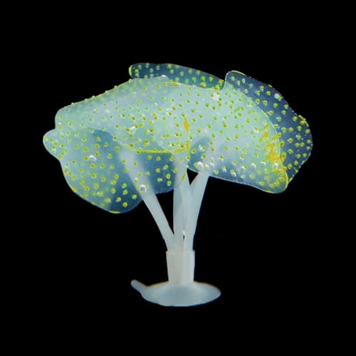 Aquarium Bunte weiche Korallen Kunst Handwerk Kreatur Terrarium Lebensraum Aquarium Unterwasser Kunstpflanze Künstliche Koralle Aquarium Bunte weiche Korallen Kunst Handwerk Kreatur Terrarium Lebensraum Aquarium Unterwasser Kunstpflanze Künstliche Koralle von SXRQ