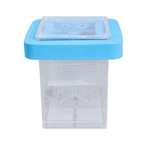 FishTank Separation Breeder Box Clear Floating Breeding Isolation Box Aquarium Small Hatchery Incubator Acrylic Fish Hatchery Container von SXRQ