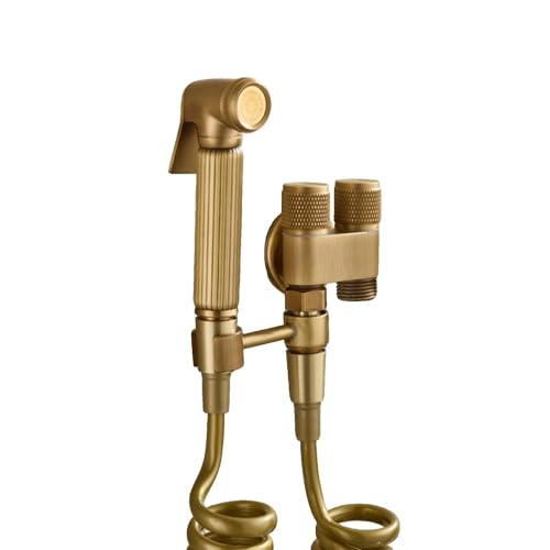 SXWYLZ Bidet Handbrause Set Intimdusche für Toilette Handbrause mit 2m Langem Federschlauch Geeignet für die Körperhygiene und Badezimmerreinigung, Antike Farbe SXWYLZ Bidet Handbrause Set Intimdusche für Toilette Handbrause mit 2m Langem Federschlauch Geeignet für die Körperhygiene und Badezimmerreinigung, Antike Farbe von SXWYLZ