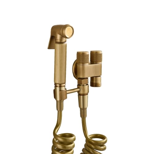 SXWYLZ Wc Handbrause Set Antike Bidet Handbrause für Toilette Ein Einlass Zwei Auslässe Geeignet für die Reinigung des Badezimmerbodens von SXWYLZ