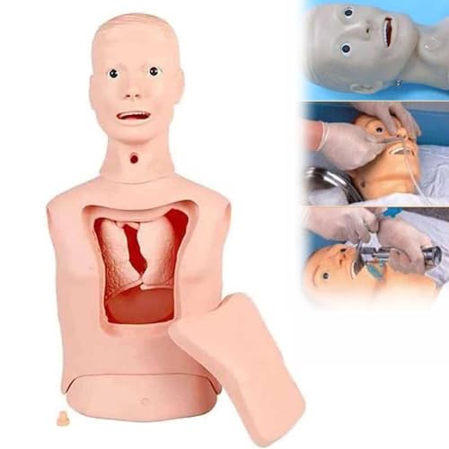 SXYKXYDL Intubation Magensonde Modell Multifunktionale Trainingspuppe Erweiterte Nasogastric Sonde Und Luftröhre Pflege Modell von SXYKXYDL