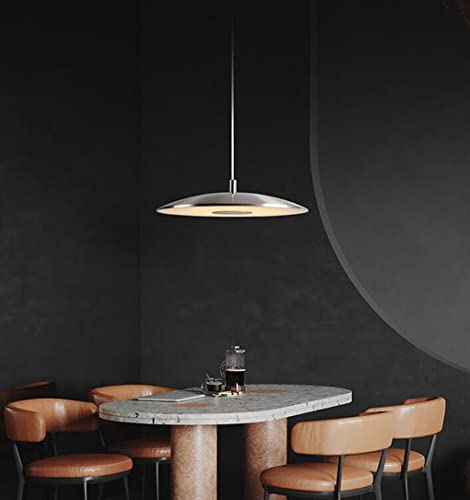 SXYSXYSXY LED 21W Pendelleuchte Kreative Design Moderne Schlafzimmer Nachttisch Dimmbar Hängeleuchte 3000K/4500K/6000K Pendellampe Innen Dekoration Hängelampe Wohnzimmer Küche Treppen Ø30cm,A von SXYSXYSXY