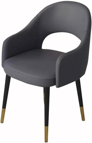 SXZHSM Kitchen Leather Dining Room Chairs Modern Bedroom Marriage Room Balcony Sofa Chair Dressing Table Makeup Chair,Darkgrey von SXZHSM