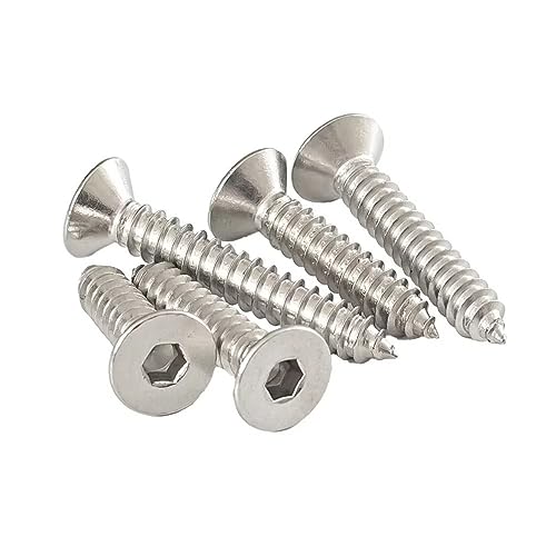 SYDARSYN Innensechskant Senkkopf Blechschrauben 304 Edelstahl Flachkopf Holzschrauben M2x6mm (180 Stück) von SYDARSYN