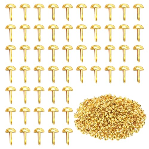 SYEYCW 300 Stück Gold Musterbeutelklammern, 8 x 16mm Mini Rundkopfklammern, Metall Scrapbooking Brads, Musterklammern, Musterbeutelklammer, für Schule, Büro, Papier, Scrapbooking Basteln, Handwerk DIY SYEYCW 300 Stück Gold Musterbeutelklammern, 8 x 16mm Mini Rundkopfklammern, Metall Scrapbooking Brads, Musterklammern, Musterbeutelklammer, für Schule, Büro, Papier, Scrapbooking Basteln, Handwerk DIY von SYEYCW