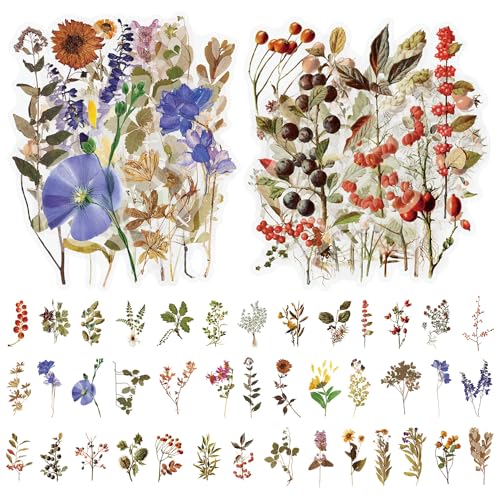 SYEYCW 80 Stück Pflanzen Blumen Aufkleber, PET Selbstklebende Natürliche Blumenaufkleber Sticker, Transparentes Blume Aufkleber Set mit 40 Mustern, für Scrapbooking, Karten, DIY-Herstellung von SYEYCW