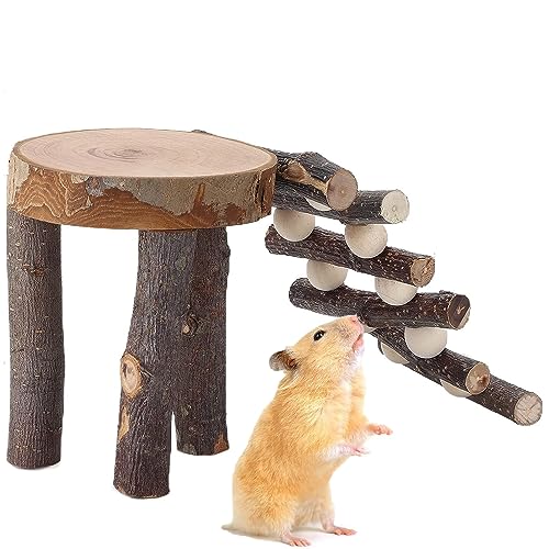 SYH&AQYE Hamster Holz Schaukel Spielzeug, Hamster Plattform Kletterleiter Holz Kletterbrücke Leiter Rampen Spielzeug für Maus Zwerghamster von SYH&AQYE