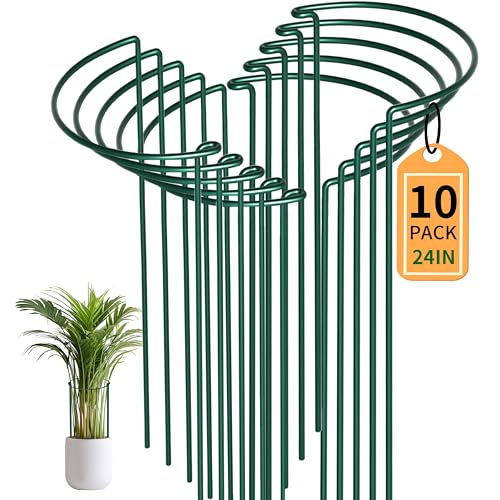 SYITCUN 10 Stück Pflanzenstütze Staudenhalter Halbrund (25x60cm)–Robuste 4mm Draht Metall Gartenstützen für Blumen,Kletterpflanzen&Sträucher von SYITCUN
