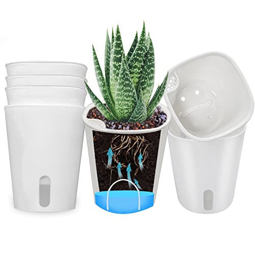 SYITCUN 10cm Sukkulenten Töpfe mit Bewässerungssystem,Plastik Kaktus Pflanze Töpfe Mini Blumentöpfe mit Dochtsystem,Kleine Blumentöpfe für Zimmerpflanzen Runde Weiß 8er Set von SYITCUN