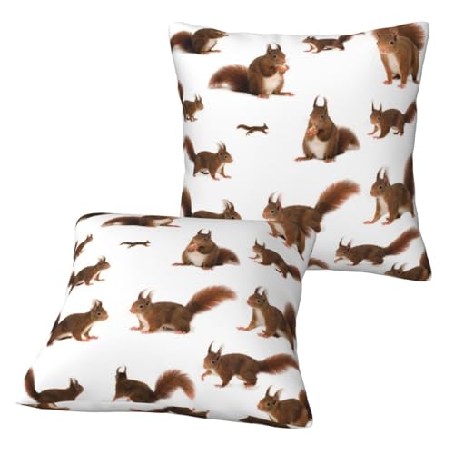 Niedliche Eichhörnchen bedruckte Dekokissenbezüge, 45 x 45 cm, quadratisch, dekorativer Kissenbezug, unsichtbarer Reißverschluss, 2 Stück von SYLALE