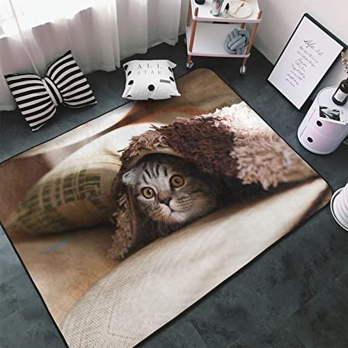 SYLALE Teppich mit Katzenmotiv, 152,4 x 99,1 cm, geeignet für viele Anlässe: Wohnzimmer, Büro, Couchtisch, Bett, Balkon usw. von SYLALE