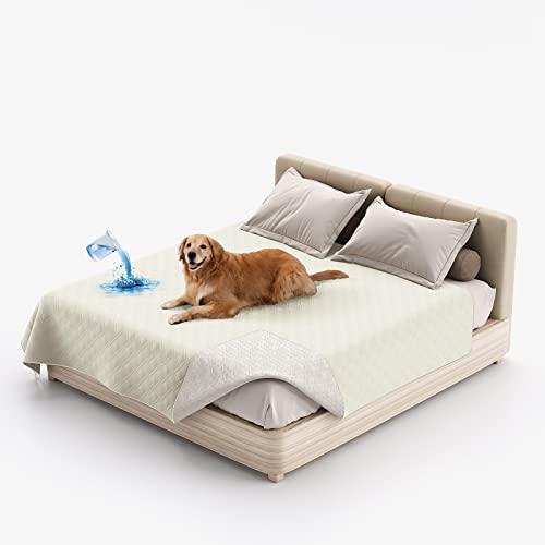 SYLC Hundedecke Wasserdicht, Hunde Decken Für Hund Hundematte Undurchlässig, rutschfest Sofaschutz Katze Waschbar Für Bett, Sofa, Auto, Outdoor (173 x 208 cm,Elfenbein) von SYLC