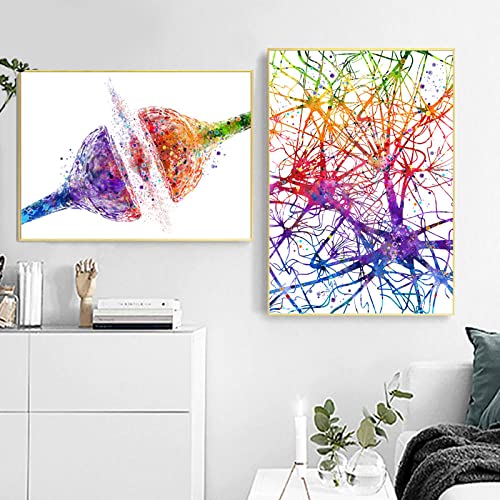 SYXBEIVK Neurowissenschaften Neurologie Medizinische Biologie Geschenk Synapse Rezeptor Gehirn Nervenzelle Wissenschaft Kunstdrucke Anatomie Poster Leinwand Malerei-40x60cmx2Pcs(Kein Rahmen) von SYXBEIVK