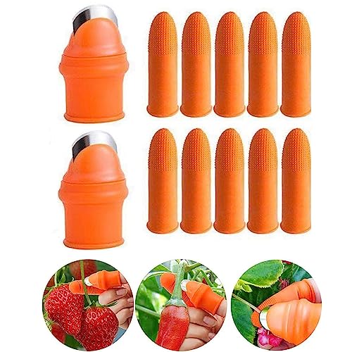 SYXLS 12 Stück Daumenmesser aus Silikon, Garten Silikon Daumenmesser Handschuhe, Fingermesser Ernte Pflanzenmesser zum Trimmen von Pflanzen, Obst Gemüse SYXLS 12 Stück Daumenmesser aus Silikon, Garten Silikon Daumenmesser Handschuhe, Fingermesser Ernte Pflanzenmesser zum Trimmen von Pflanzen, Obst Gemüse von SYXLS