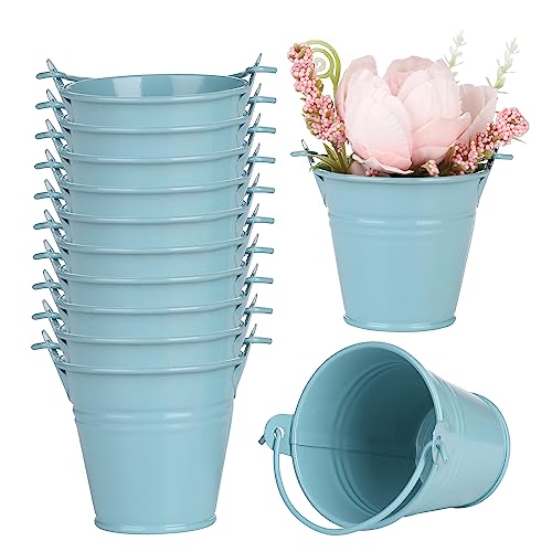 Mini Eimer 12 Stück Kleine Metalleimer Mini-runder Blumentopf-Pflanzenkorb, Mini Eimer für Party Hochzeit für Gartenpflanzen Home Party Dekoration Container (Blau) von SYZOW