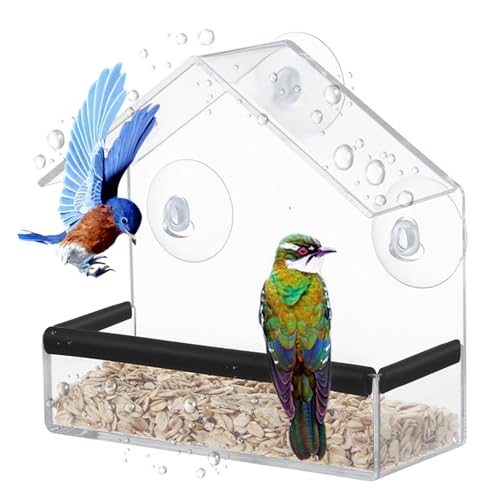 Vogelhaus Fensterscheibe, Bird Feeders, Acryl Vogelhäuschen für Fenster Futterhaus für Vögel, Transparent Vogelfutterhaus zum Aufhängen, Futterspender mit Saugnäpfen für Wildvögel Finken Bluebirds Vogelhaus Fensterscheibe, Bird Feeders, Acryl Vogelhäuschen für Fenster Futterhaus für Vögel, Transparent Vogelfutterhaus zum Aufhängen, Futterspender mit Saugnäpfen für Wildvögel Finken Bluebirds von SZSIQI