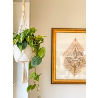 Makramee Blumenampel | Planthanger Pflanzendekoration Natur Macrame Boho Makramee Blumenampel | Planthanger Pflanzendekoration Natur Macrame Boho von SaWaMakramee